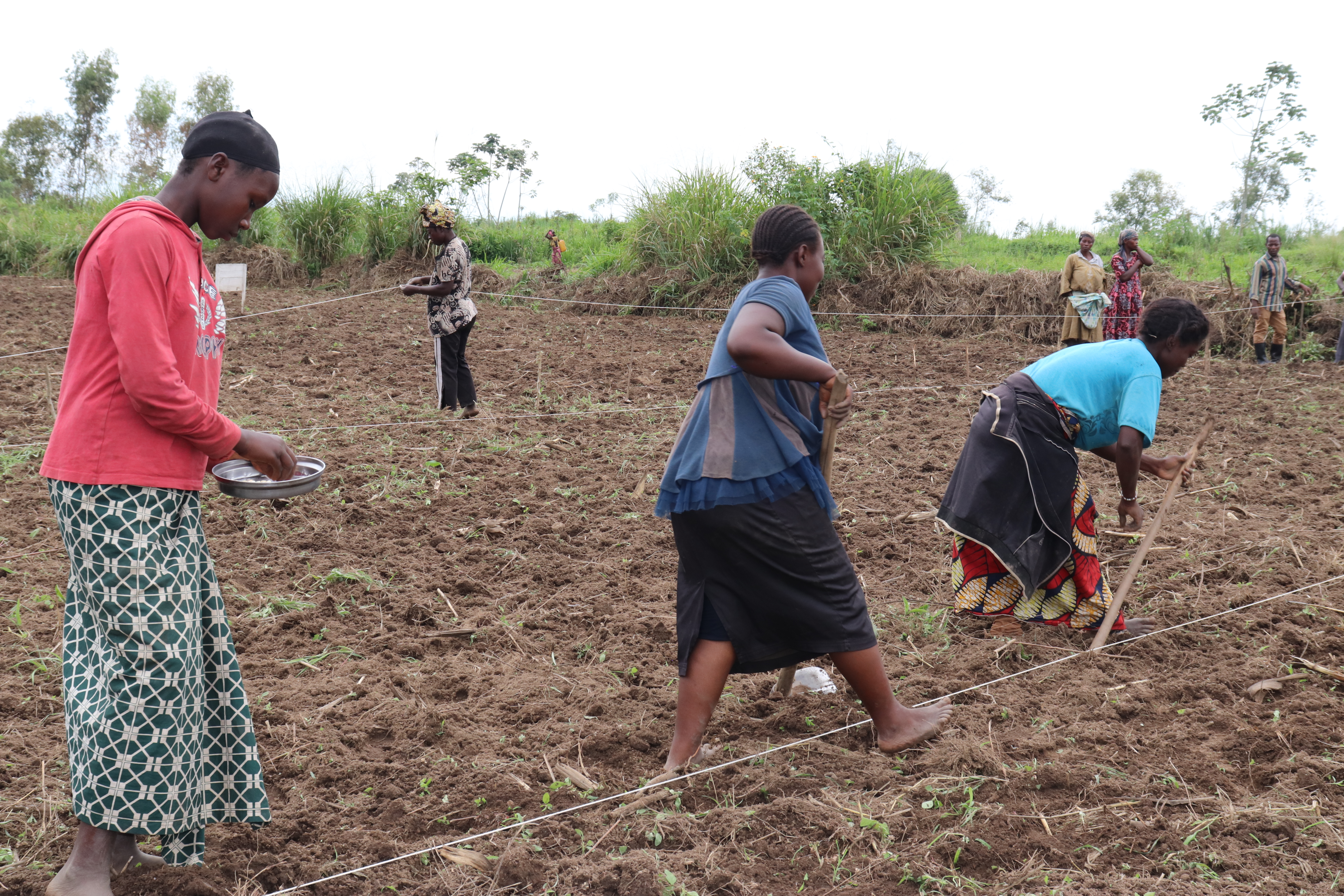 AFPDE investit dans la sécurité alimentaire pour contribuer à combattre la faim et la malnutrition