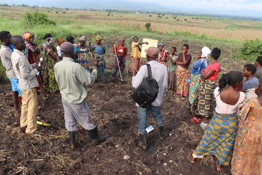 A l’école du champ paysan (CEP): Préparation du sol ou du terrain