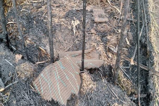 Destruction du site spontané et situation des PDIs à Ruhuha/Rwangara groupement de Buzi Territoire de Kalehe