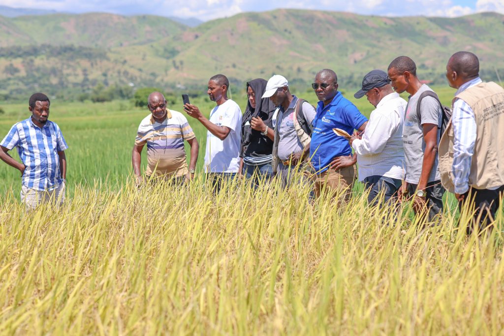 Territoire d’Uvira : L’équipe technique du ministère provincial de l’agriculture (Sud-Kivu) visite les activités de sécurité alimentaire mises en œuvre par  AFPDE