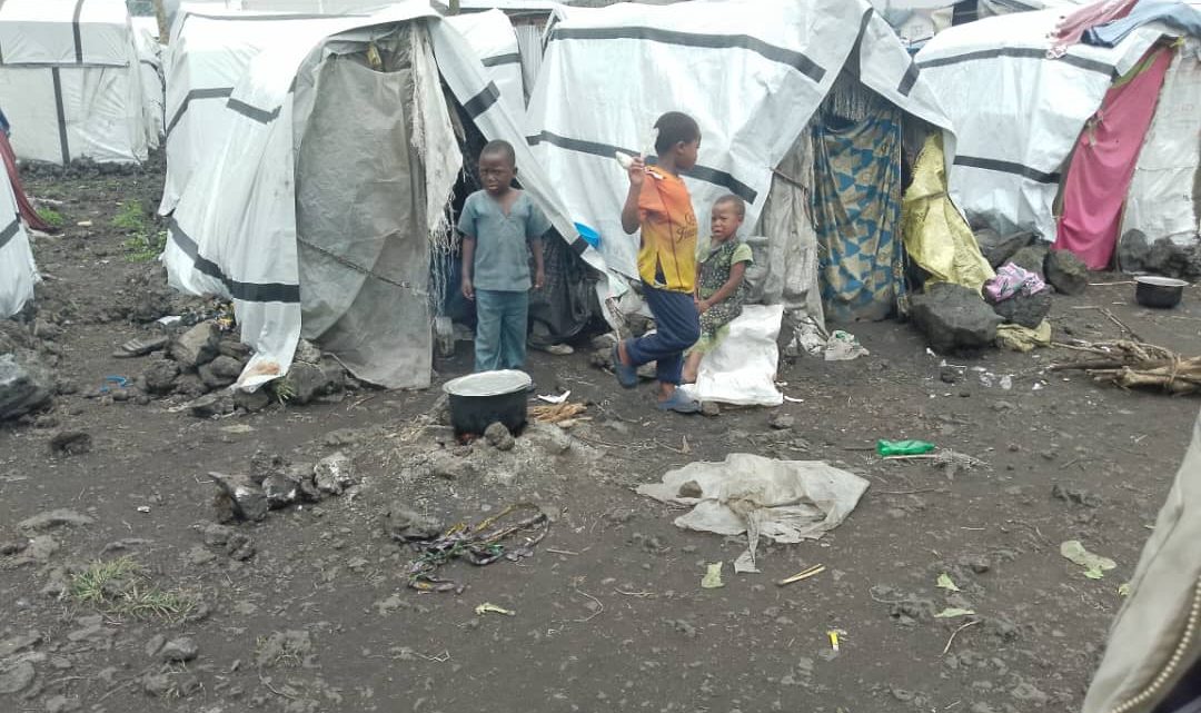 Les déplacés du Nord-Kivu désespérés face à la résurgence des violences armées